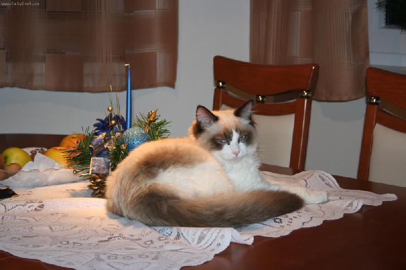 Foto: Ismiri de Borgione-To byly teda v�noce 2006 :-)))