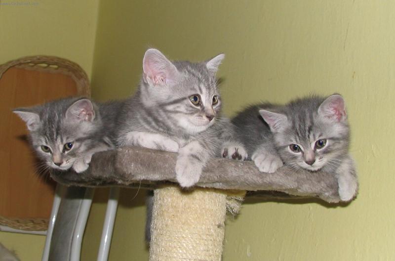 Foto: Na�i kluci-A vrh Porubsk� kv�t