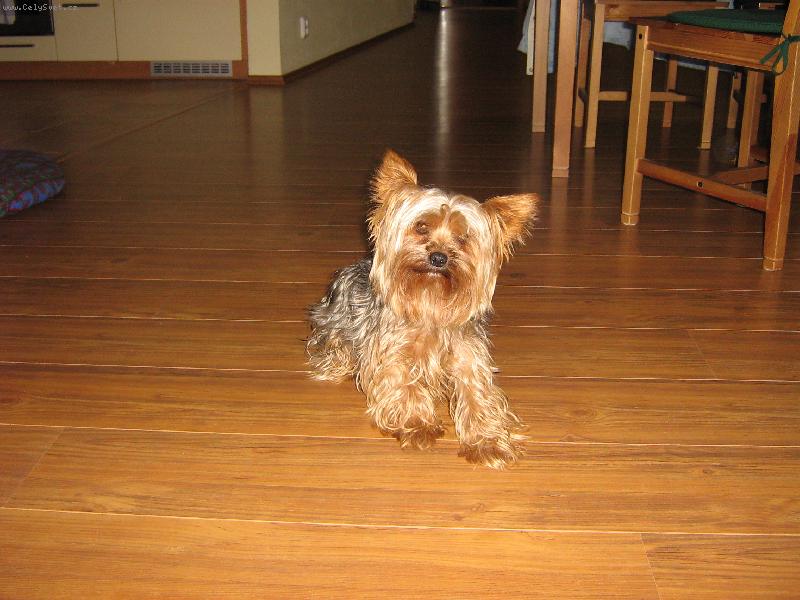 Foto: N� ps�k Tob���k