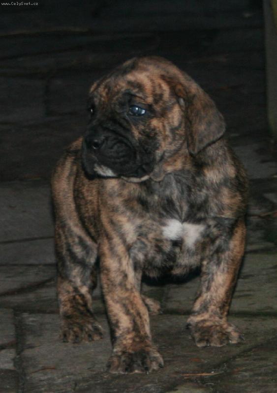 Foto: HARUN Guanchos-/Tahora & Murbo