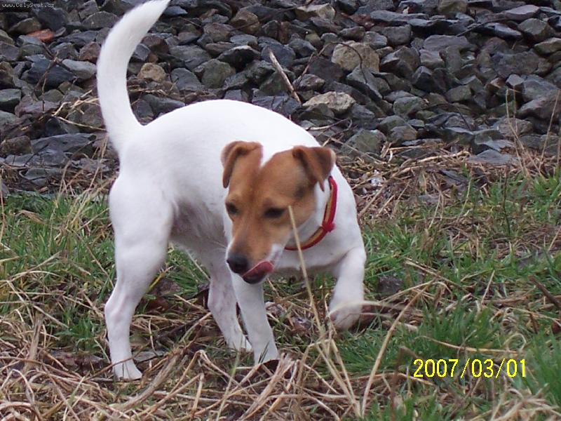 Foto: Fattynka-na proch�zce