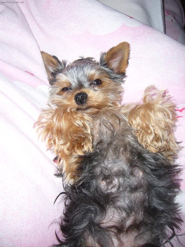 Foto: hm neruste me odpocivam!!!