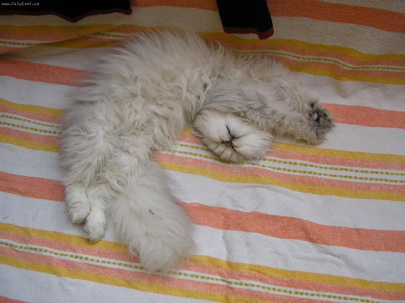 Foto: Kuku-Pohodi�ka