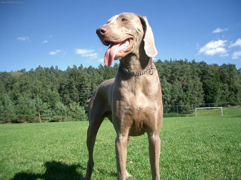 Foto: Aime-Tak co na m� ��k�te?:o))