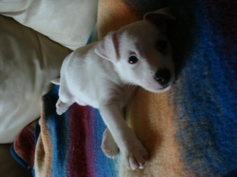 Foto: Nen� nad leno�en�