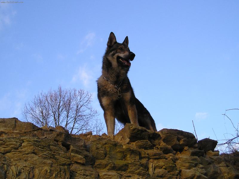 Foto: Na obhlidce hradu Foto: Na obhlidce hradu