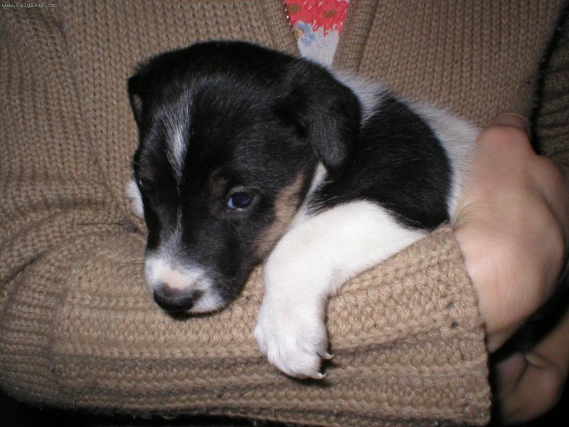 Foto: na�e �ja-ajinka