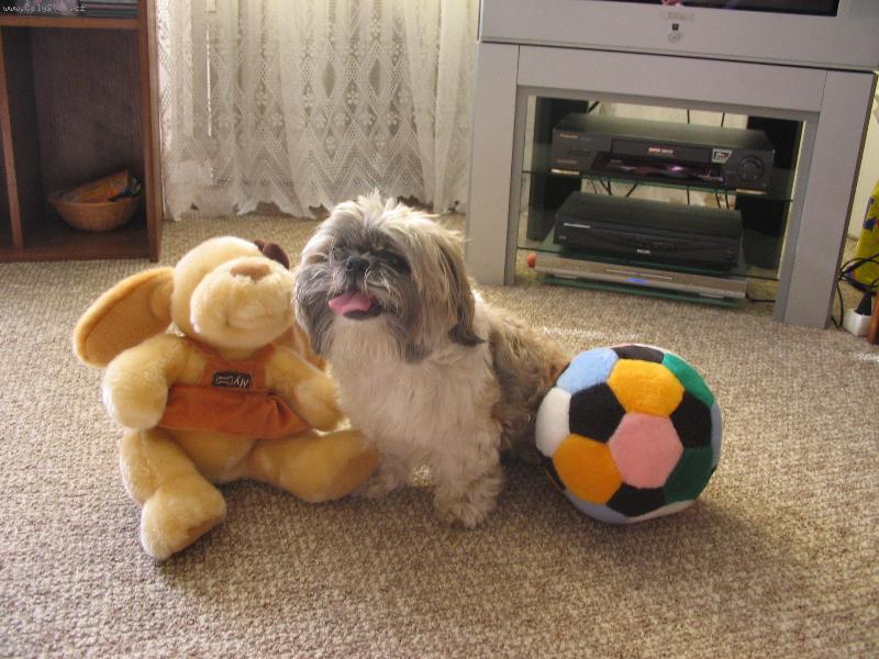 Foto: daja-maly,aporad hravy