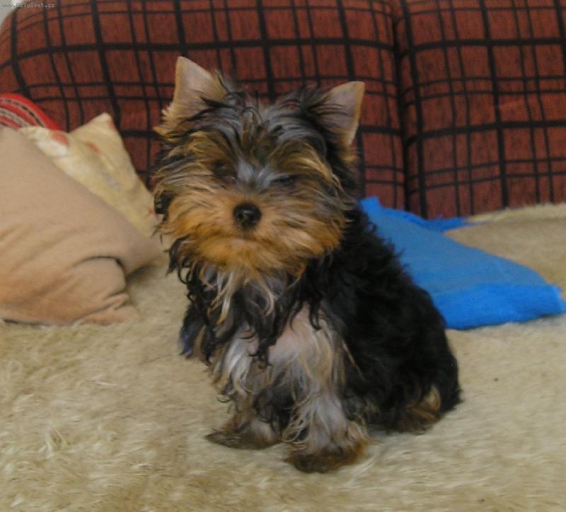 Foto: �IKY-4 mesiace