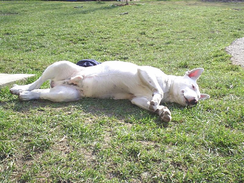 Foto: Danny-Prvn� leto�n� opalov�n�