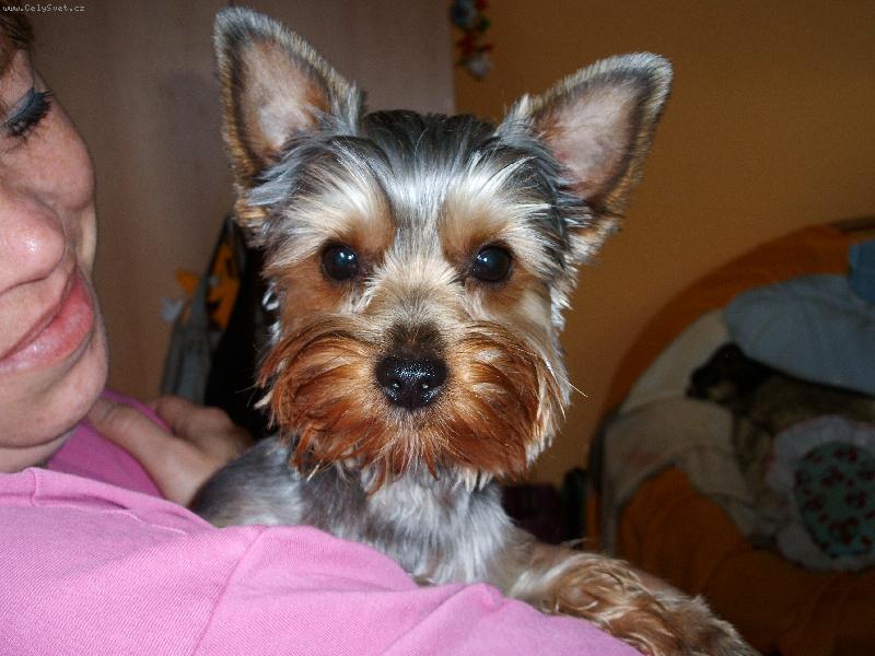 Foto: to je m�j brou�ek ��rl�:)