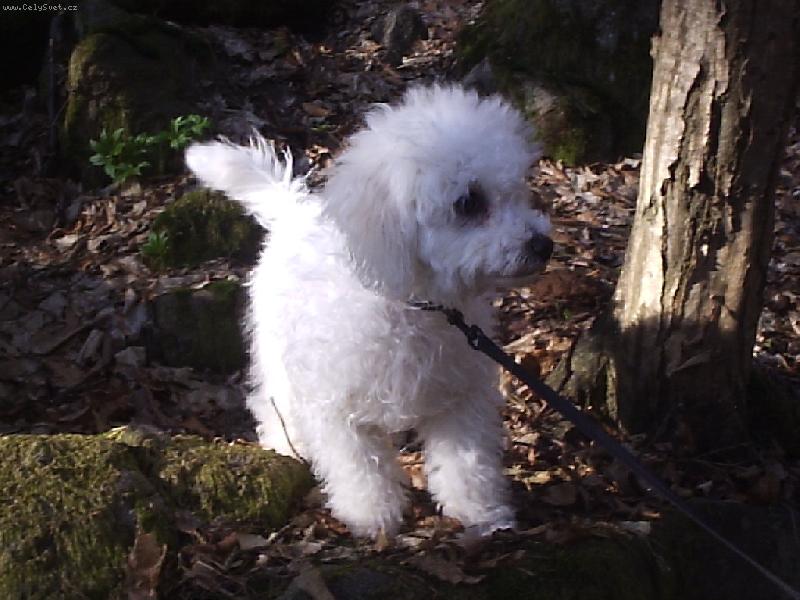 Foto: Danny-na proch�zce