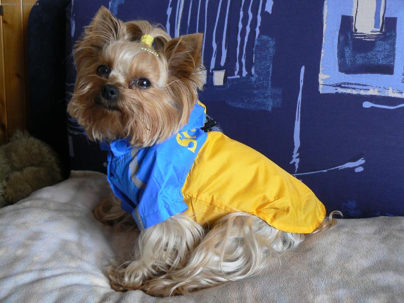 Foto: Ad�lka v pl�t�nce-tohle je kupovan� pl�t�nka (nejlevnej� na allpetu) a skv�le sed�!!jako jeden z m�la prod�van�ch oble�k�