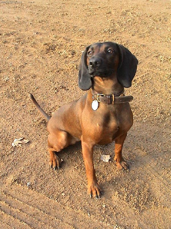 Foto: Arwen von Leopoldsm�hle:-)-Na�e princezna