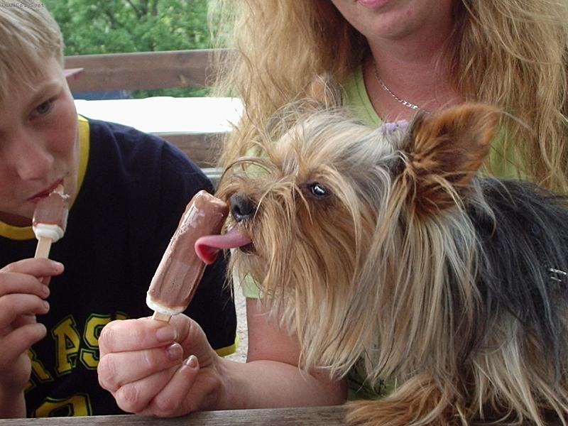 Foto: Monty-je studen�,ale dobr�