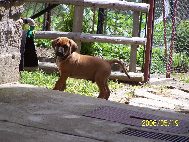 Foto: na�e �t�n�tko endy