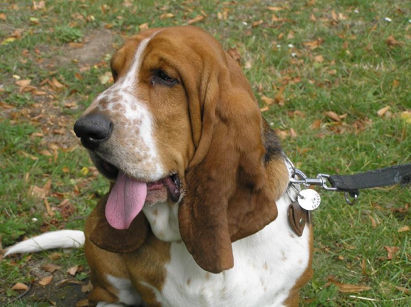 Foto: kone�n� teplo...