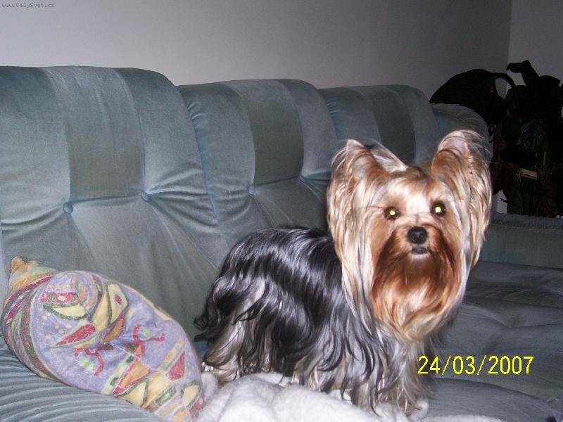 Foto: Bessy-www.jork-bessy.estranky.cz