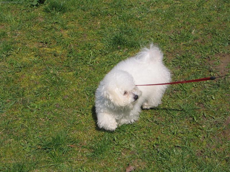 Foto: Ideme sa striha� - sk��em od radosti...