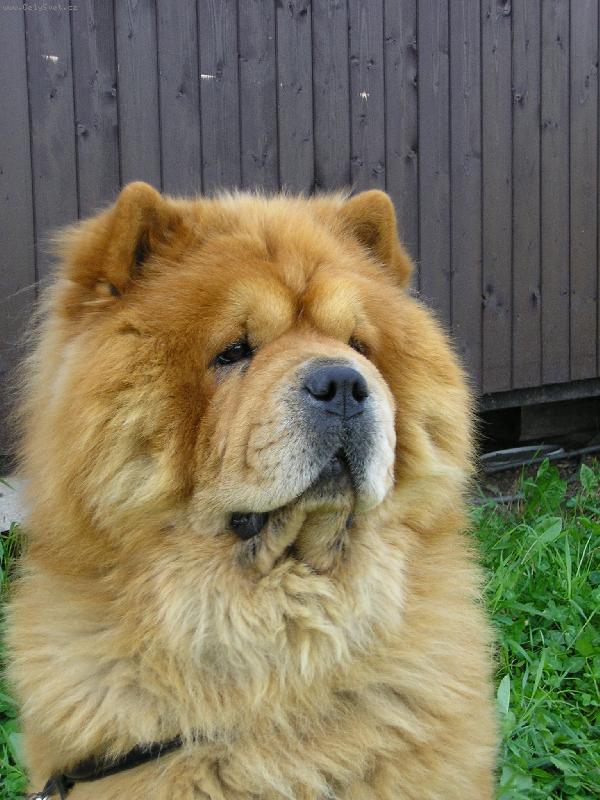 Foto: Pozor n�kdo jde