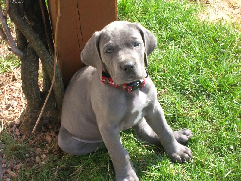 Foto: takhle mam p�zovat?