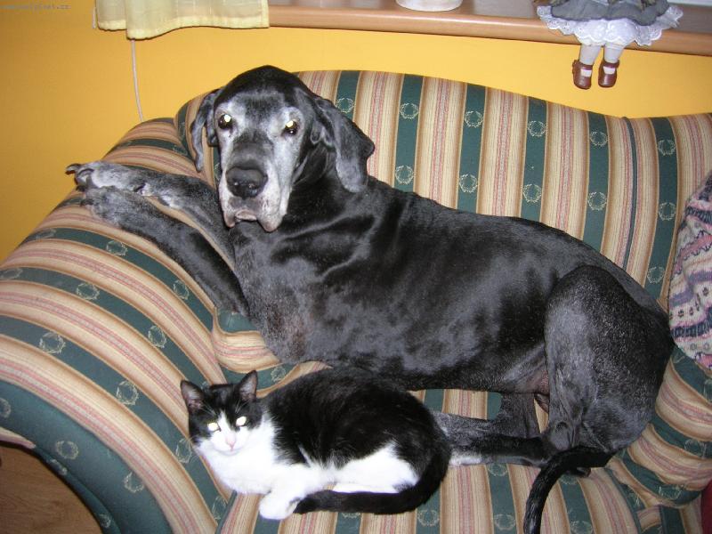 Foto: jsi p�ece jen ko�ka, ale o kousek se rozd�lim