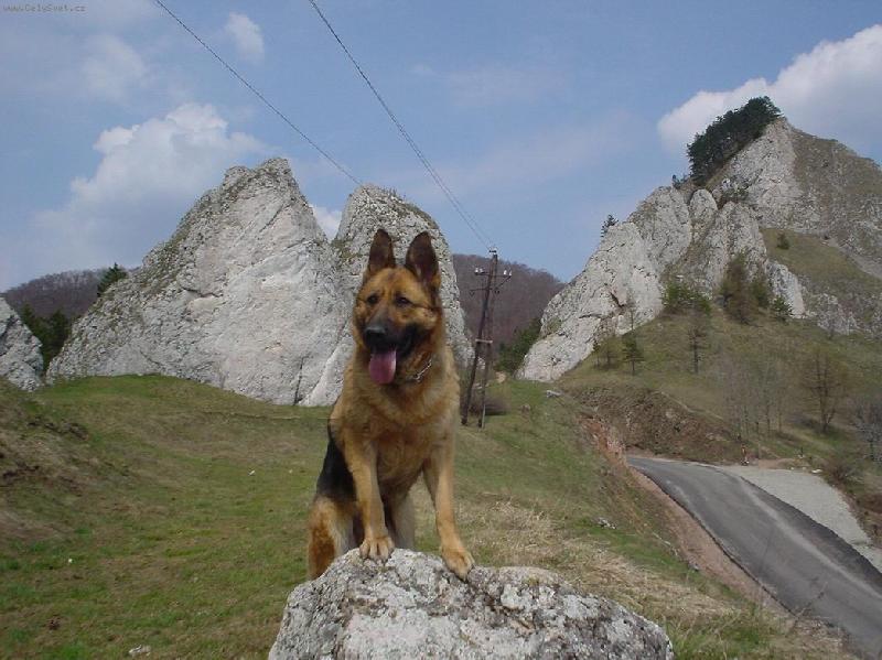 Foto: Guta-na v�let�