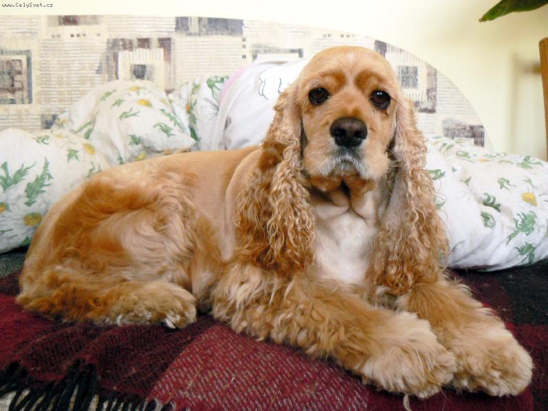 Foto: Megi-po st��h�n�