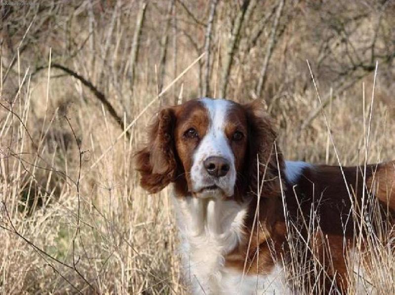 Foto: Dughie-nejsem smutn�-p�em�t�m