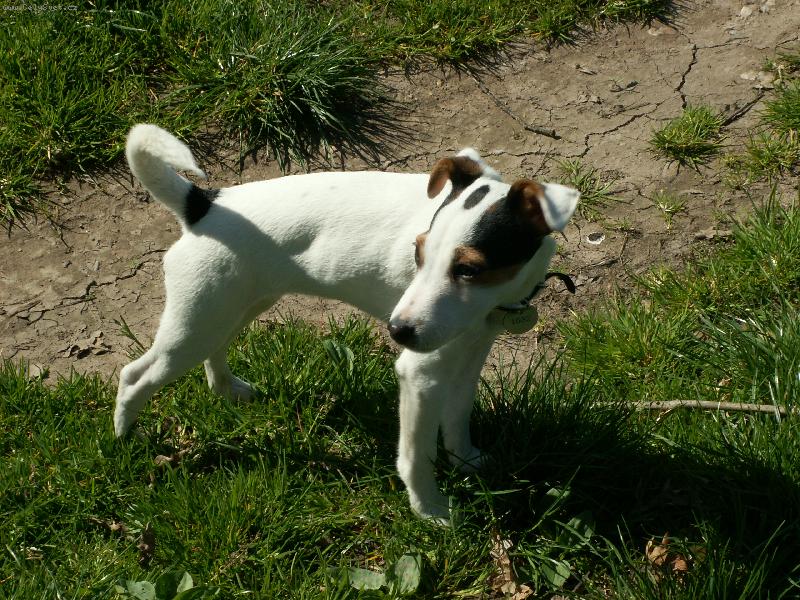 Foto: Agnes-Jen tak si stoj�m