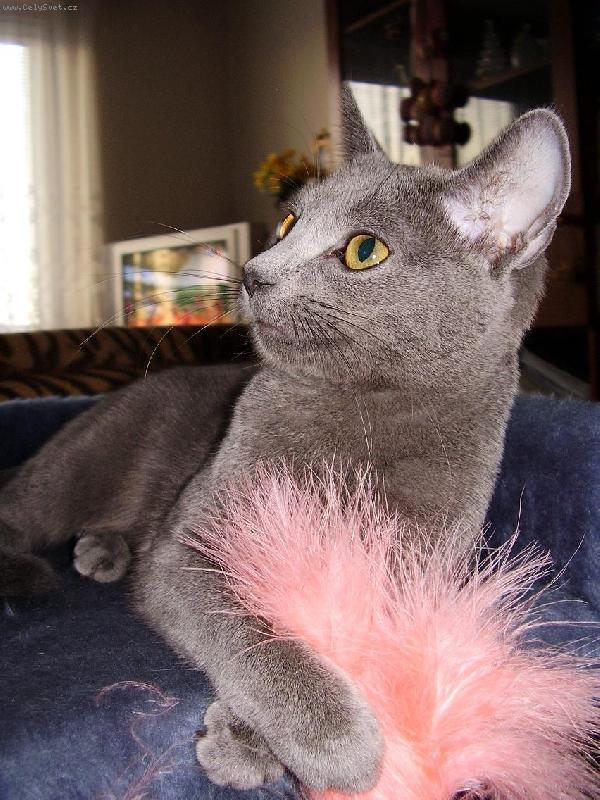 Foto: Na�e Filinka-Filinka