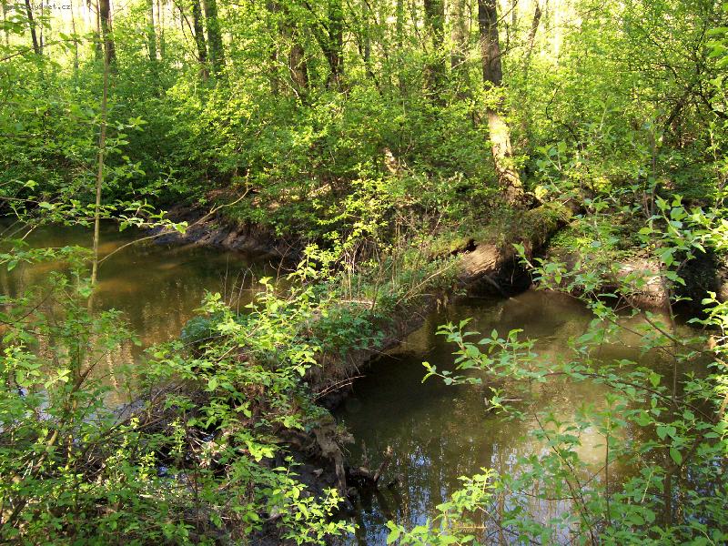 Foto: Peklo-Chr�n�n� �zem� "Peklo" u �esk� L�py