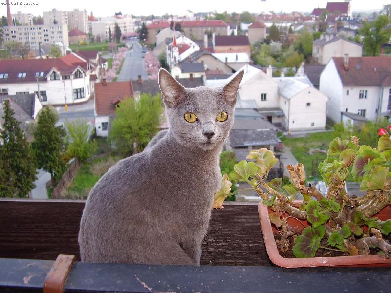 Foto: Tady kr�lovnou jsem j�...-Filinka v Litovli