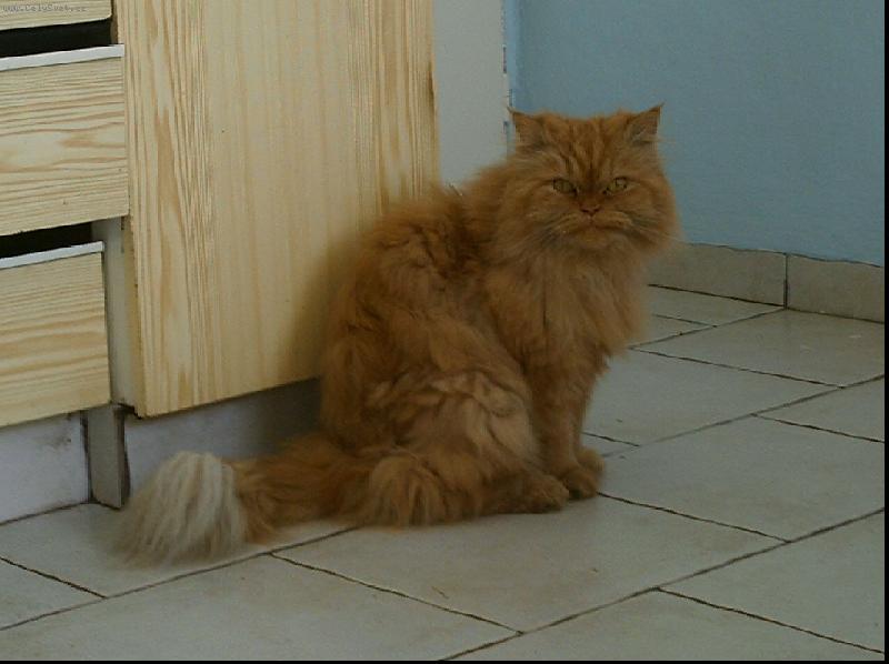 Foto: �anetka-kouk�m dost p��sn�?