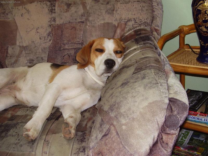 Foto: En�a-Na�e pohod��ka...