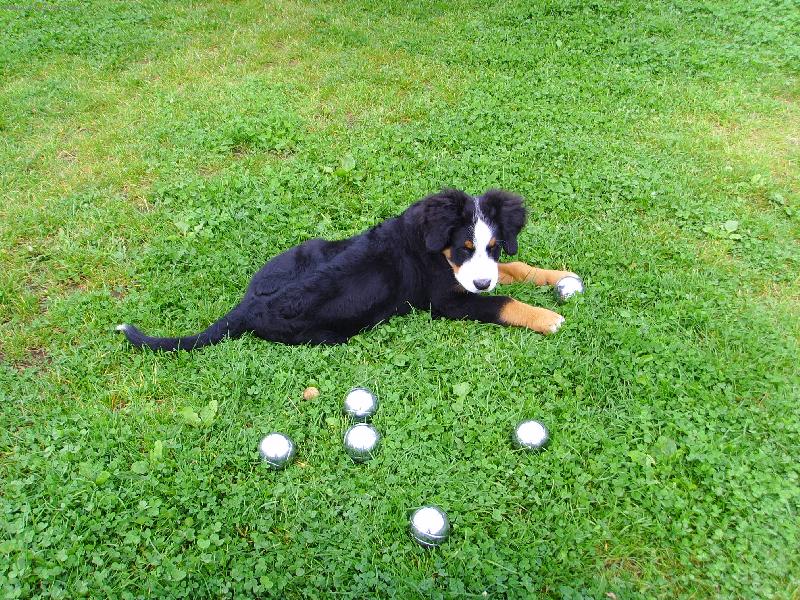 Foto: Kdo si hraje, nezlob� - petanque 2