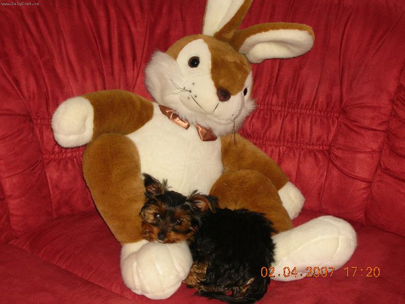 Foto: charlinko-moje srdiecko