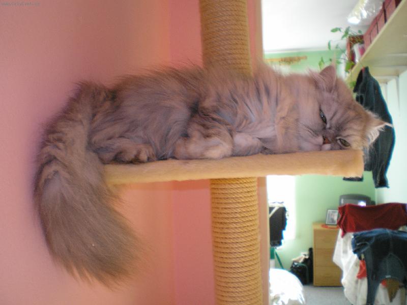 Foto: Max�k-Na�e sp�c� miminko...