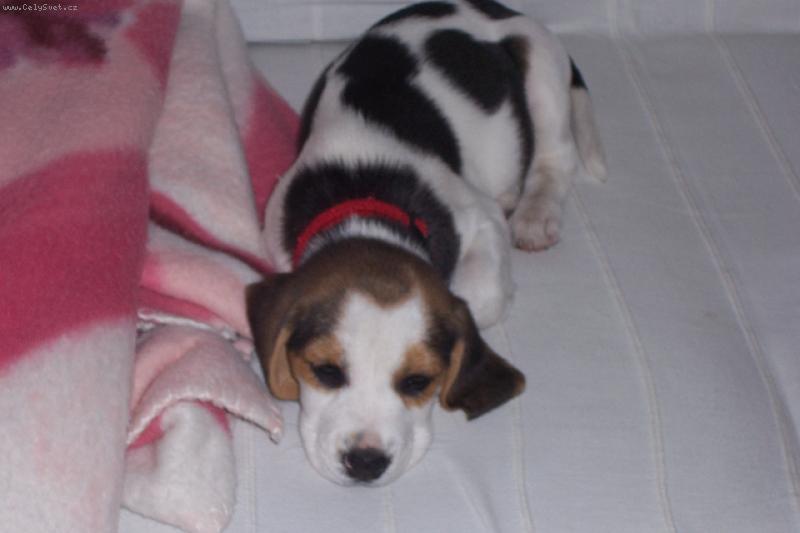 Foto: S�ra-Tady je mi fajn