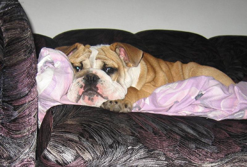 Foto: BARNY-odpo�inek v pe�ince