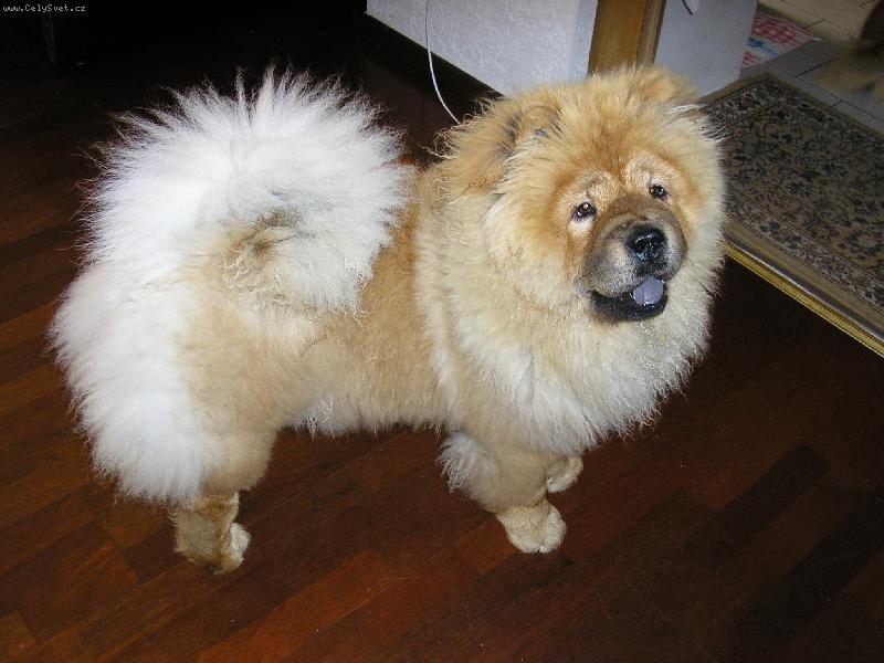 Foto: v�stavn� postoj-�e mi to ale u� jde