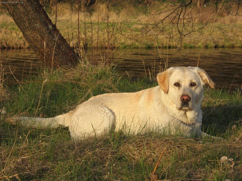 Foto: Argo-Argo a z�pad slunce