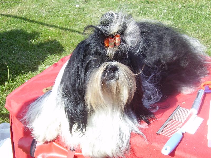 Foto: Orlando z Ivafre