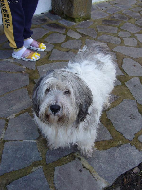 Foto: op�t..Egrif Majoli Inu..-��k�me mu jinak Mat�j=)