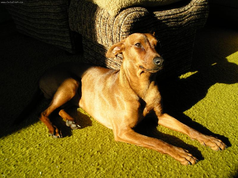 Foto: Mairra Marieta