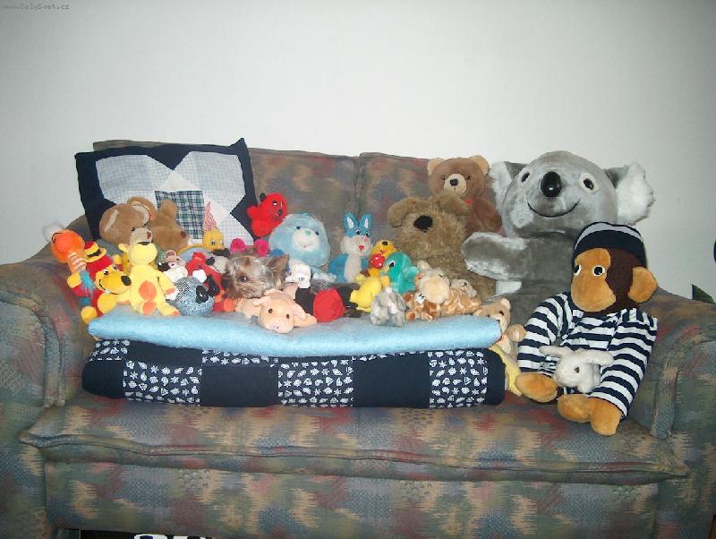 Foto: sam� hra�ky-najdete Adelinu?