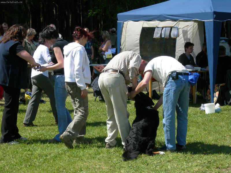 Foto: Indi-v lese je kr�sn�