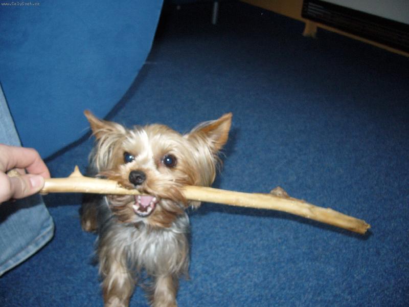 Foto: MIA z D���na-ned�m