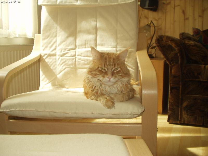 Foto: Odpoledn� odpo�inek