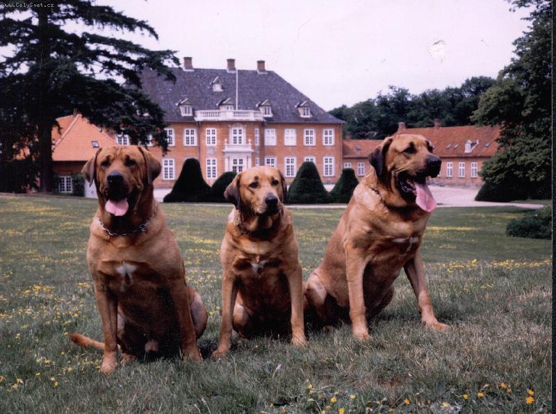 Foto: haf�ci-�koda,�e tady nen� chovn� stanice,co?